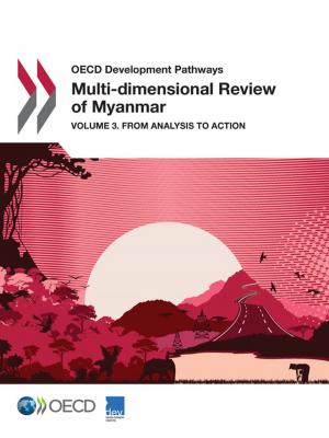 bigCover of the book Multi-dimensional Review of Myanmar by 