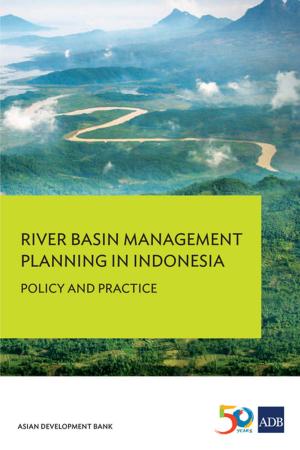 Cover of the book River Basin Management Planning in Indonesia by Asian Development Bank