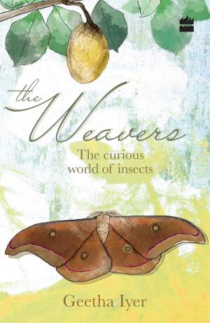Cover of the book The Weavers: The Curious World of Insects by Intizar Hussain