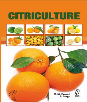 Cover of the book Citriculture by C. Chattopadhyay, Rashid Pervez