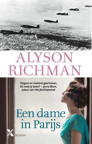 Cover of the book Een dame in Parijs by Kiki van Dijk