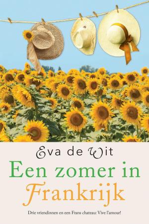 Cover of the book Een zomer in Frankrijk by Julia Burgers-Drost