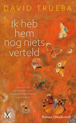 Cover of the book Ik heb hem nog niets verteld by Sander Bax