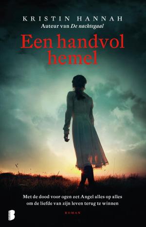 Cover of the book Een handvol hemel by Maeve Binchy