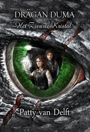 Cover of the book Het zwarte kristal by Angela P. Fassio