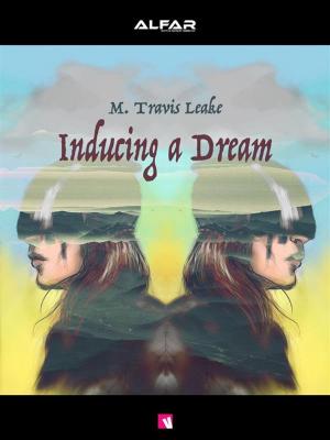 Cover of the book Inducing a Dream by AA VV