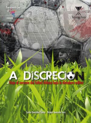 Cover of the book A discreción by Javier Barría