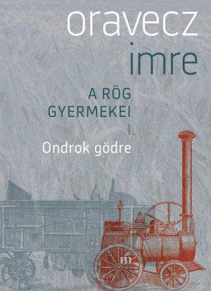 Cover of the book Ondrok gödre by Michel Houellebecq, Bernard-Henri Lévy