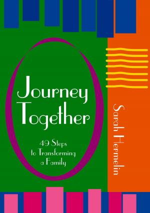 Cover of the book Journey Together by Rabbi Abraham J. Twerski