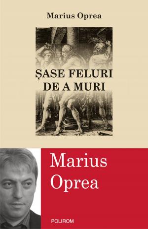 Cover of the book Sase feluri de a muri by Maria  a României Regina