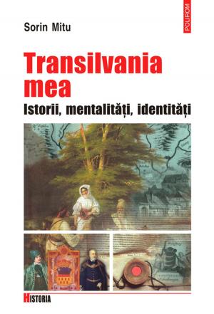 Cover of the book Transilvania mea: Istorii, metalitati, identitati by Aurora Liiceanu