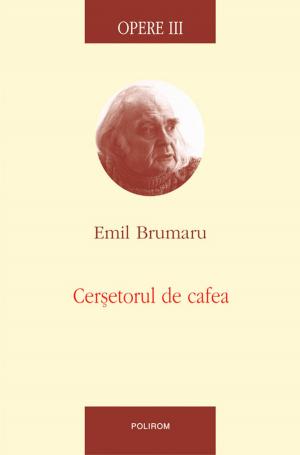 Cover of the book Opere 3. Cerșetorul de cafea by Nora Iuga