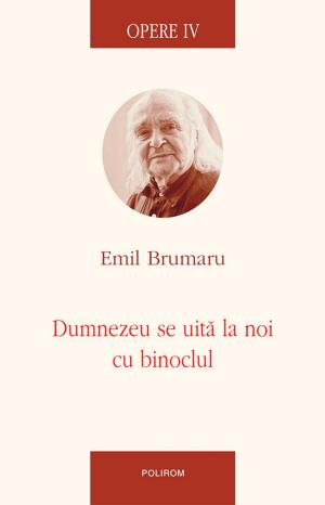 Cover of the book Opere IV: Dumnezeu se uită la noi cu binoclul by Maria Regină a României