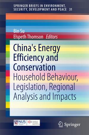 Cover of the book China's Energy Efficiency and Conservation by Peijun Shi