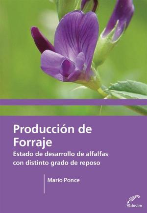 Cover of the book Producción de forraje by Carlos Dámaso Martínez