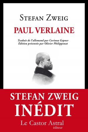 Book cover of Paul Verlaine