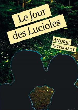 Cover of the book Le Jour des Lucioles by Jean-Marc Brières