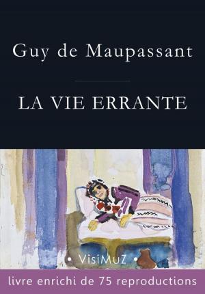 Book cover of La vie errante