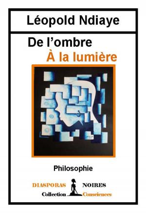 Cover of the book De l'ombre à la Lumière by Hulo Guillabert
