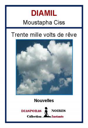 Cover of the book Trente mille volts de rêve by Ankit