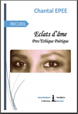Cover of the book Éclats d'âme by Victoria Stoklasa