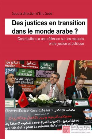 Cover of the book Des justices en transition dans le monde arabe ? by Nancy Hendrickson