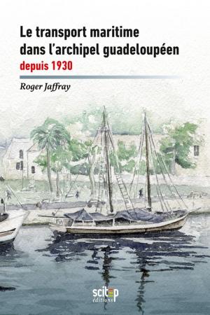 Book cover of Le transport maritime dans l'archipel guadeloupéen depuis 1930