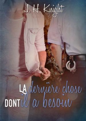 Cover of the book La dernière chose dont il a besoin by Leta Blake, Vaughn Indra