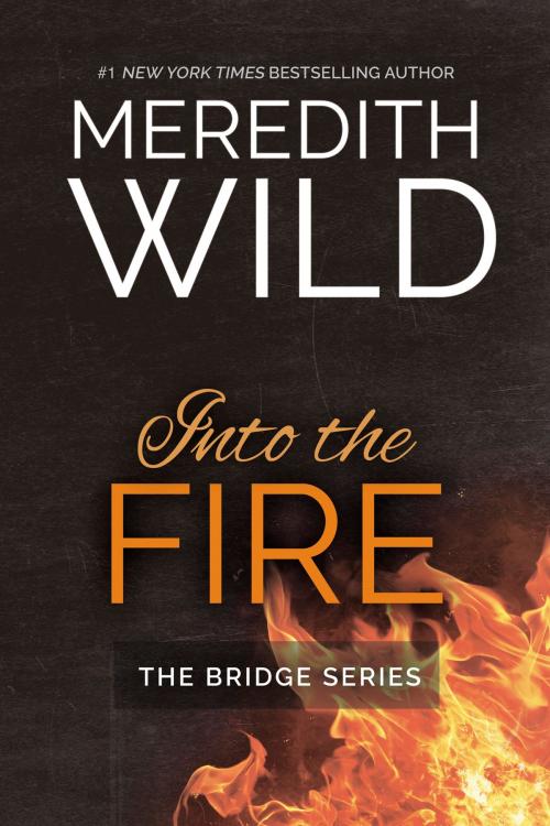 Cover of the book Into The Fire by Meredith Wild, Waterhouse Press