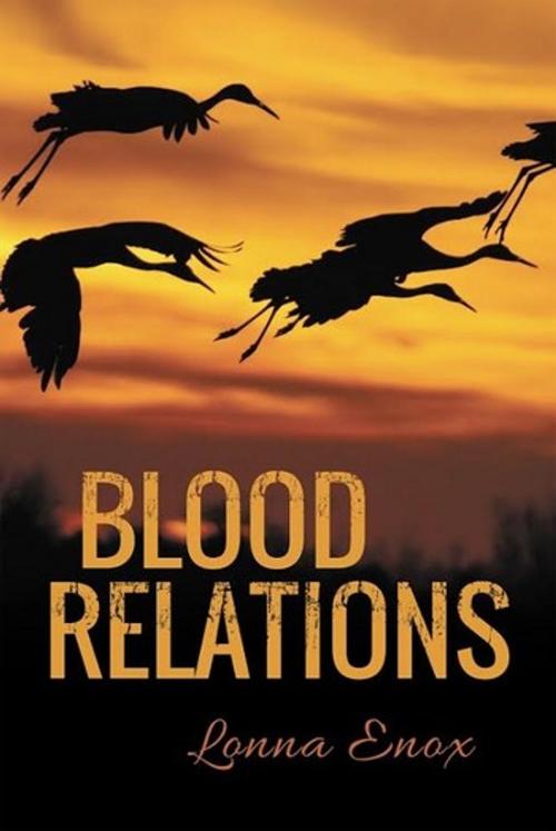 Cover of the book Blood Relations by Lonna Enox, Lonna Enox Publishing