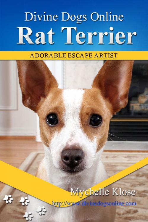 Cover of the book Rat Terriers by Mychelle Klose, Mychelle Klose