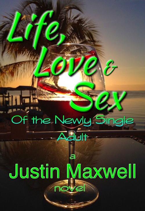 Cover of the book Life, Love & Sex of the Newly Single Adult by Justin Maxwell, Absolutely Amazing Ebooks