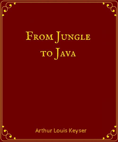 Cover of the book From Jungle to Java by Arthur Louis Keyser, Star Lamp