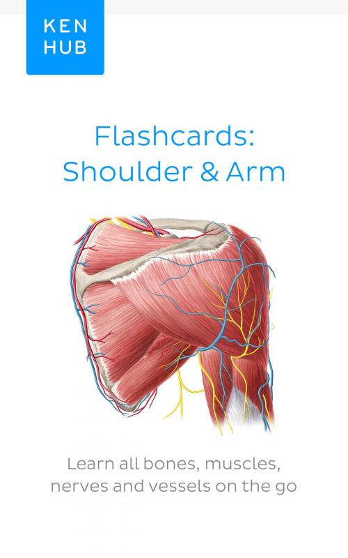 Cover of the book Flashcards: Shoulder & Arm by Joao Costa, Yoav Aner, Niels Hapke, Yousun Koh, Samantha Zimmermann, Kenhub GmbH