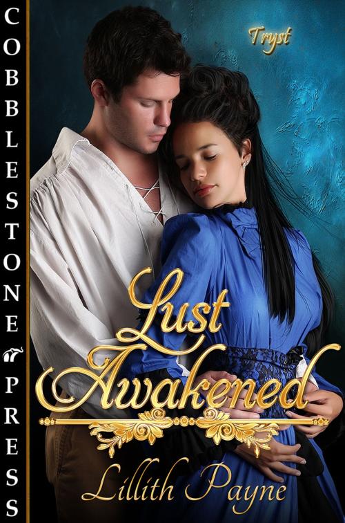 Cover of the book Lust Awakened by Lillith Payne, Cobblestone Press