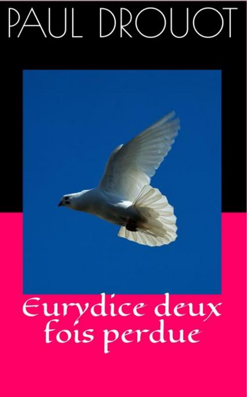 Cover of the book Eurydice deux fois perdue by Paul Drouot, NT