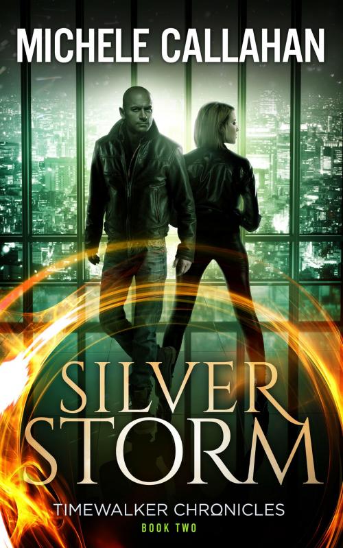 Cover of the book Silver Storm by Michele Callahan, M. L. Callahan, Tydbyts Media
