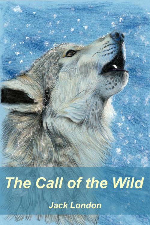 Cover of the book The Call of the Wild by Jack London, Dyalpha