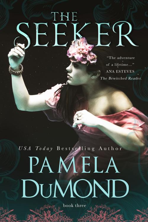 Cover of the book The Seeker by Pamela DuMond, Pamela DuMond Media
