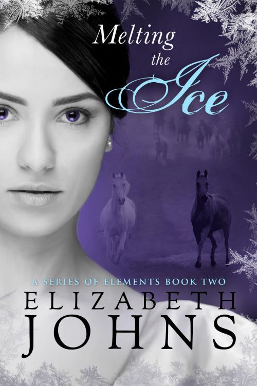 Cover of the book Melting the Ice by Elizabeth Johns, Elizabeth Johns