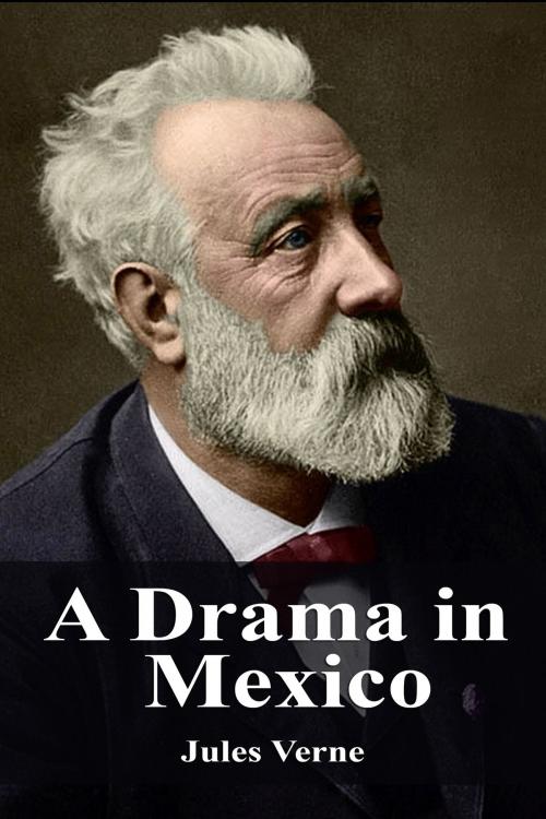 Cover of the book A Drama in Mexico by Jules Verne, Dyalpha