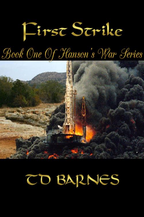 Cover of the book First Strike by TD Barnes, TD Barnes