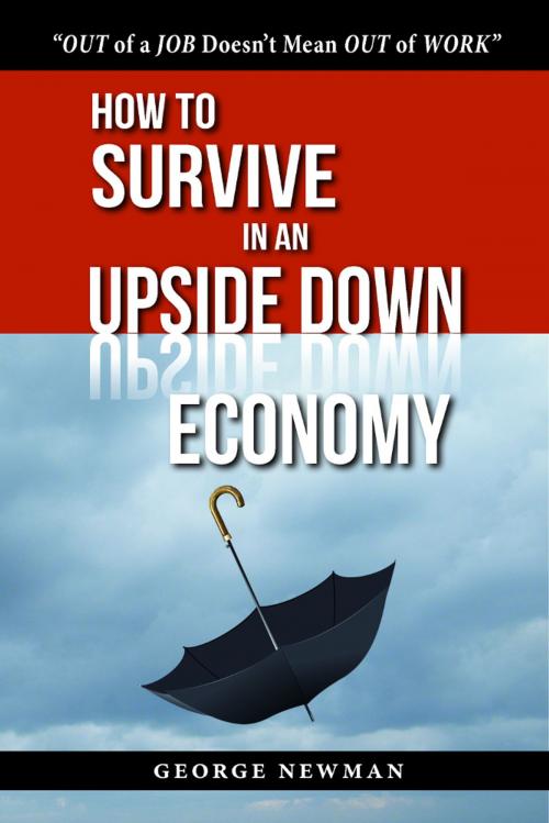 Cover of the book How To Survive in an Upside Down Economy by George Newman, Blossom Valley Press