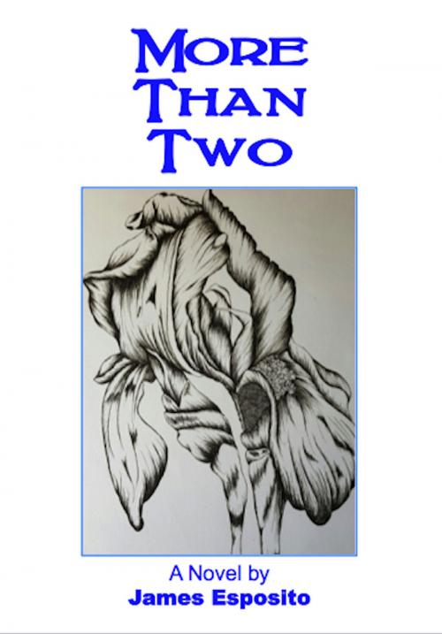 Cover of the book More Than Two by James Esposito, Absolutely Amazing Ebooks