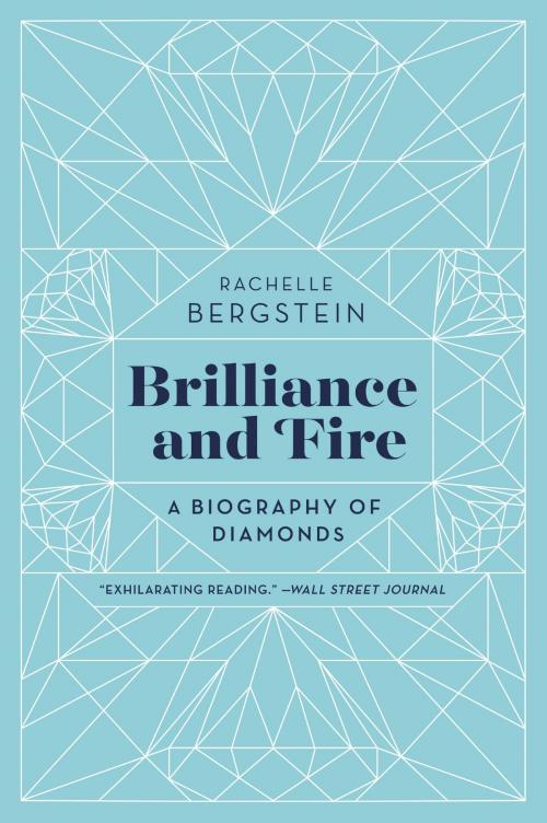 Cover of the book Brilliance and Fire by Rachelle Bergstein, Harper