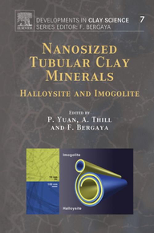 Cover of the book Nanosized Tubular Clay Minerals by Peng Yuan, Antoine Thill, Faïza Bergaya, Elsevier Science