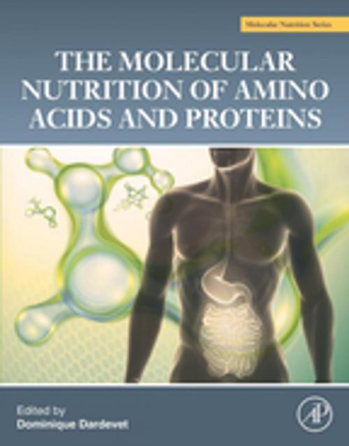 Cover of the book The Molecular Nutrition of Amino Acids and Proteins by , Elsevier Science