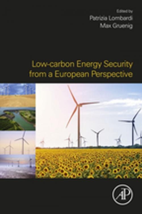 Cover of the book Low-carbon Energy Security from a European Perspective by , Elsevier Science