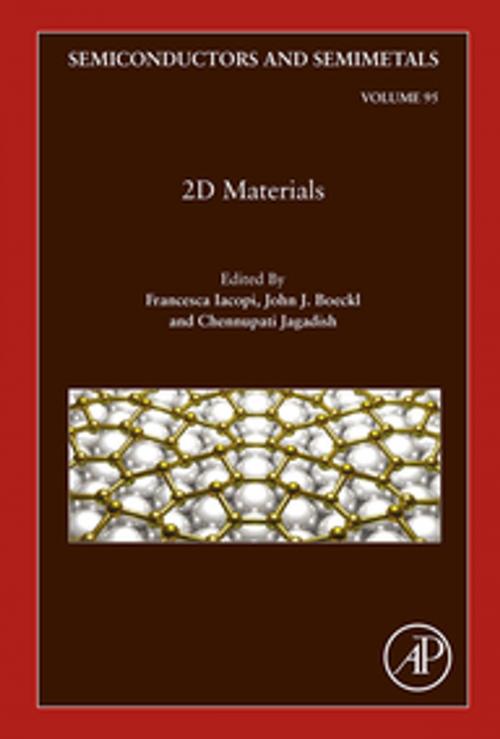 Cover of the book 2D Materials by Francesca Iacopi, John J. Boeckl, Chennupati Jagadish, Elsevier Science