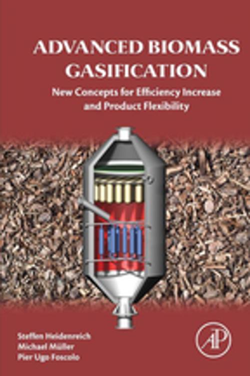 Cover of the book Advanced Biomass Gasification by Steffen Heidenreich, Michael Müller, Pier Ugo Foscolo, Elsevier Science